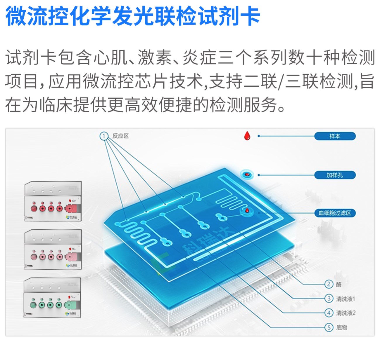 啊实打实.jpg